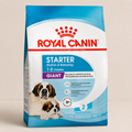 Royal Canin Perros Size Health Nutrition Starter Giant 10KG