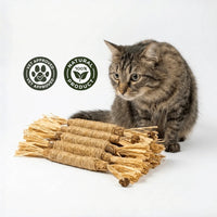 Pack 5 Palitos Dentales Silvervine para Gatos — 100% Natural — MarMari Pet