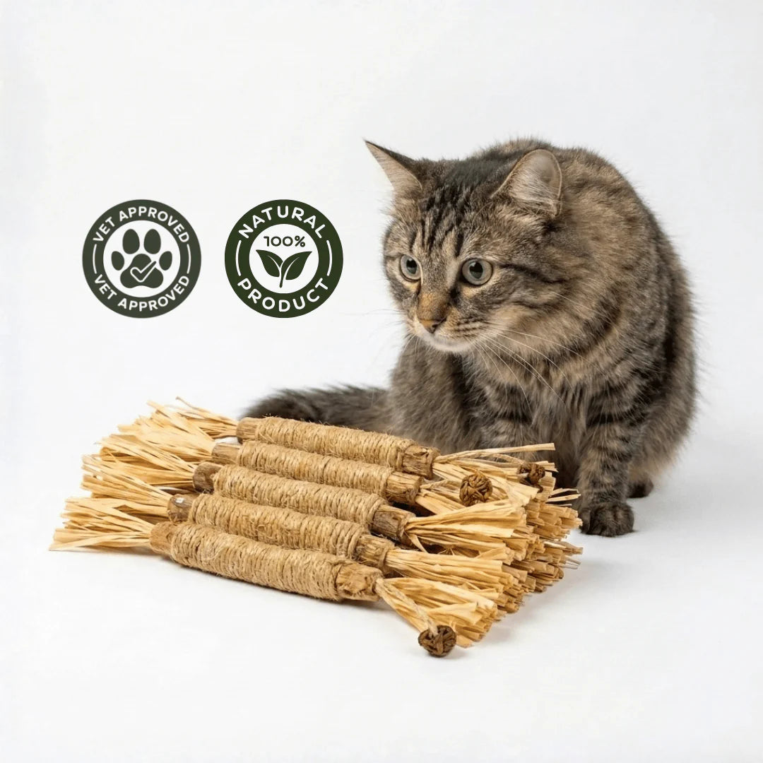 Pack 5 Palitos Dentales Silvervine para Gatos — 100% Natural — MarMari Pet